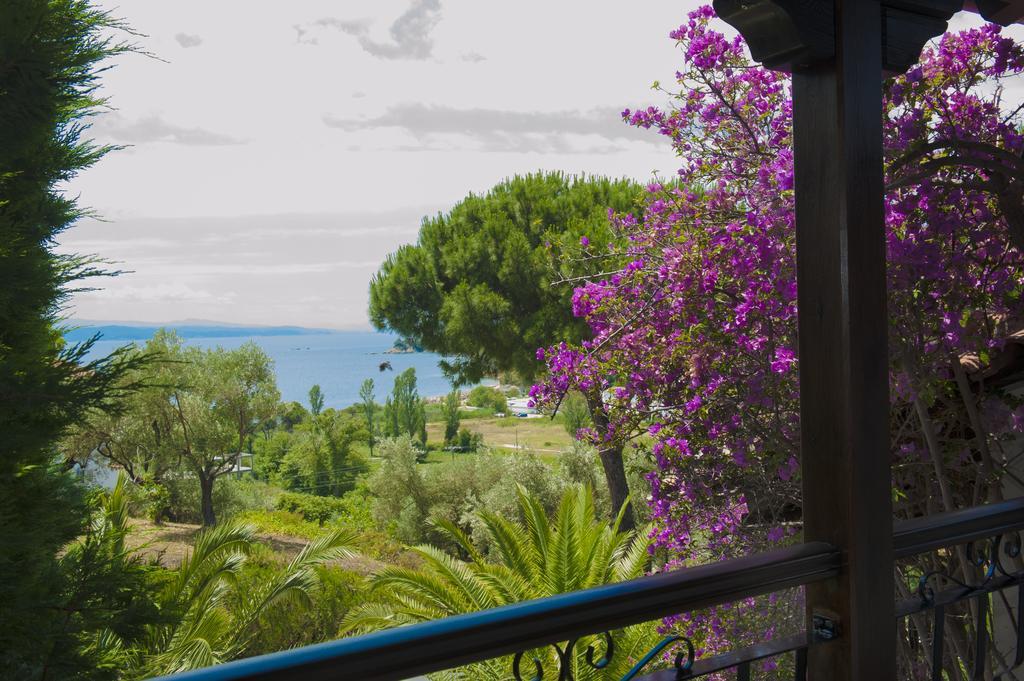 أغيا باراسكيفي Villa Anna Maria المظهر الخارجي الصورة